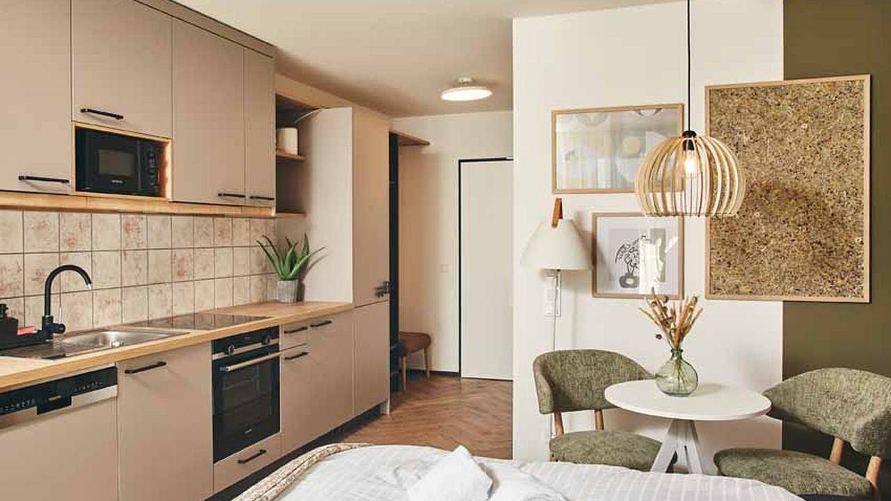 Ganzes Studio, Studio für 2 Personen (24 m²) in Bad Goisern in Bad Goisern am Hallstättersee, Totes Gebirge