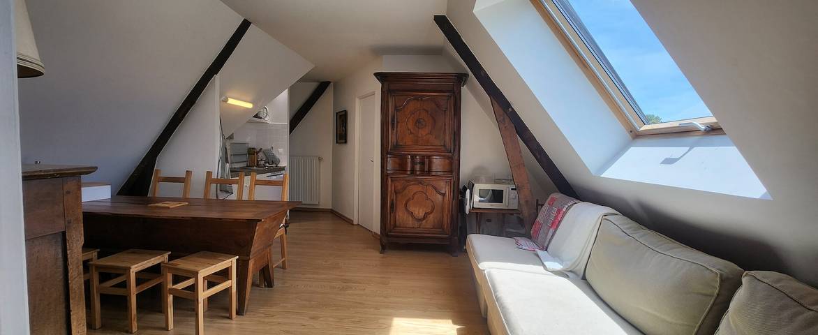 Apartment 'La Tramolière' with Private Pool, Wi-Fi and Air Conditioning in La Tour-du-Pin region