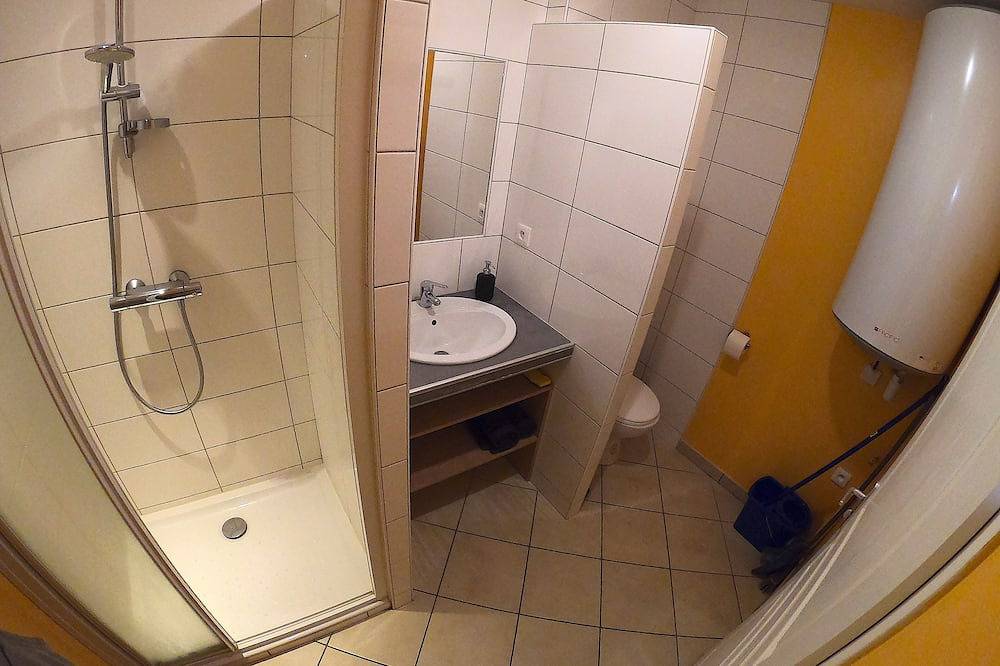 Entire apartment, Magnificent apartment (1) in Le Puy-en-Velay, Haute-Loire