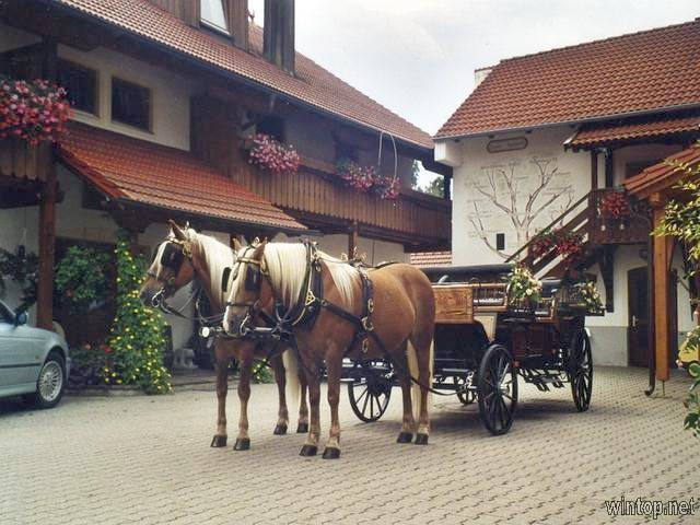 Ferienhaus für 2 Personen, mit Garten und Balkon, kinderfreundlich in Bad Füssing - 4