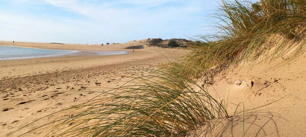 Camping pour 8 personnes, avec piscine et terrasse à Talmont-Saint-Hilaire - 2