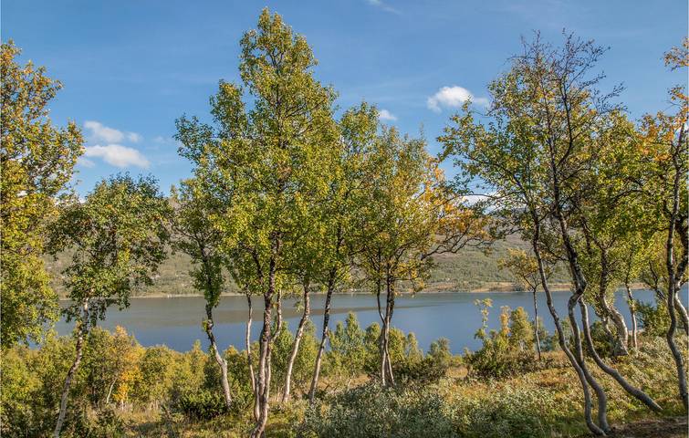 Ferienhaus für 8 Personen mit Seeblick in Oppdal