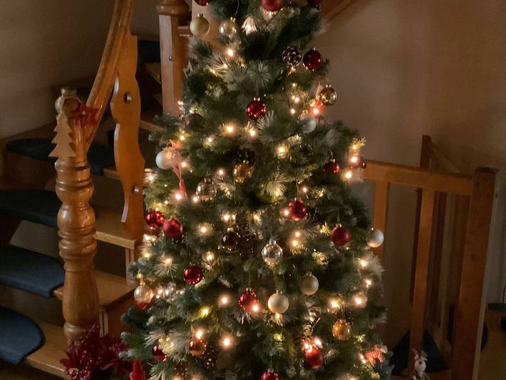 Ferienhaus für 20 Personen, mit Garten und Ausblick sowie Seeblick und Sauna, kinderfreundlich auf Usedom - 3
