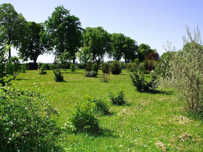 Ferienwohnung für 2 Personen, mit Garten und Ausblick in Groß Mohrdorf - 4