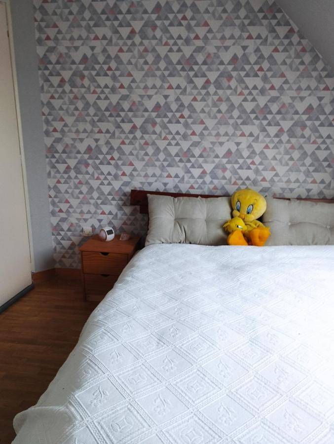 Appartement de vacances entier, Double Room with Private Bathroom in Saint-Jouan-de-l'Isle, Région de Dinan