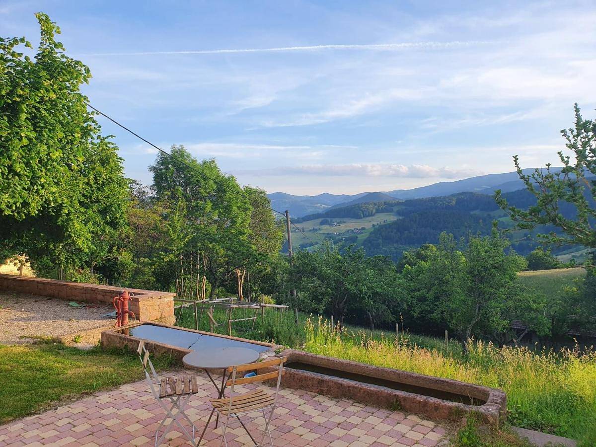 Le nid du Kaloui in Fréland, Parc naturel régional des Ballons des Vosges