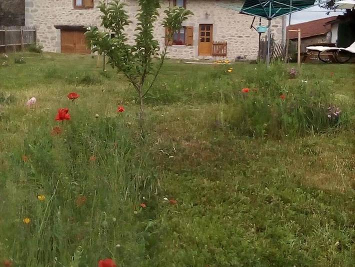 Maison de vacances pour 8 personnes dans Le Rouget-Pers