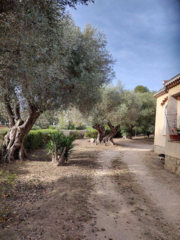 Studio entier, L'Olivaie - Studio Sanary in Sanary-sur-Mer, Région de Toulon