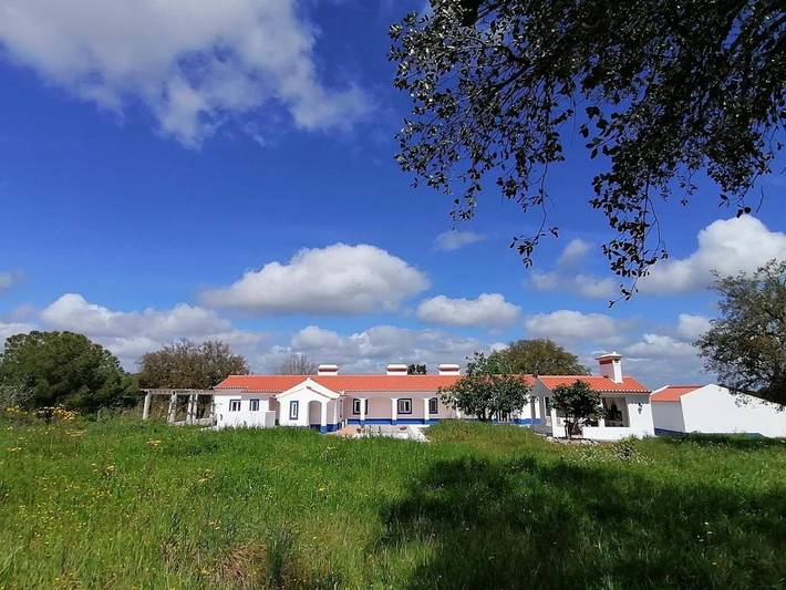 Casa rural para 5 personas, con Terraza y Jardín además de Piscina y Vistas en Mora (Evora) - 4