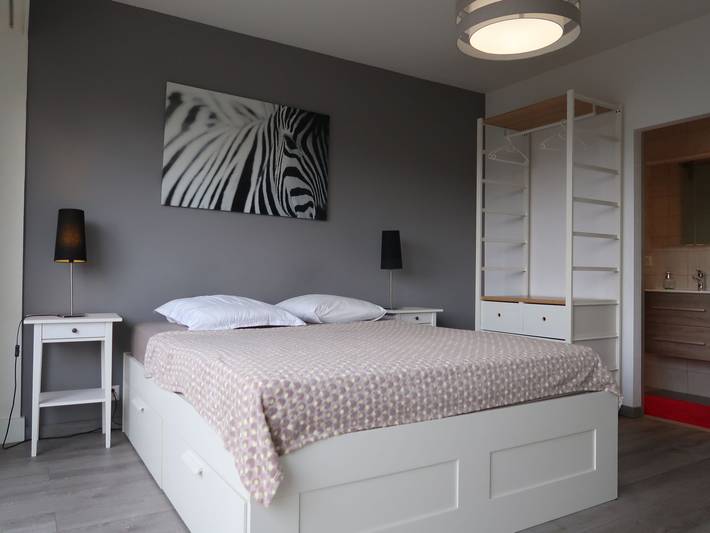 Gîte pour 6 personnes, avec vue ainsi que balcon et vue sur le lac à Genève - 4