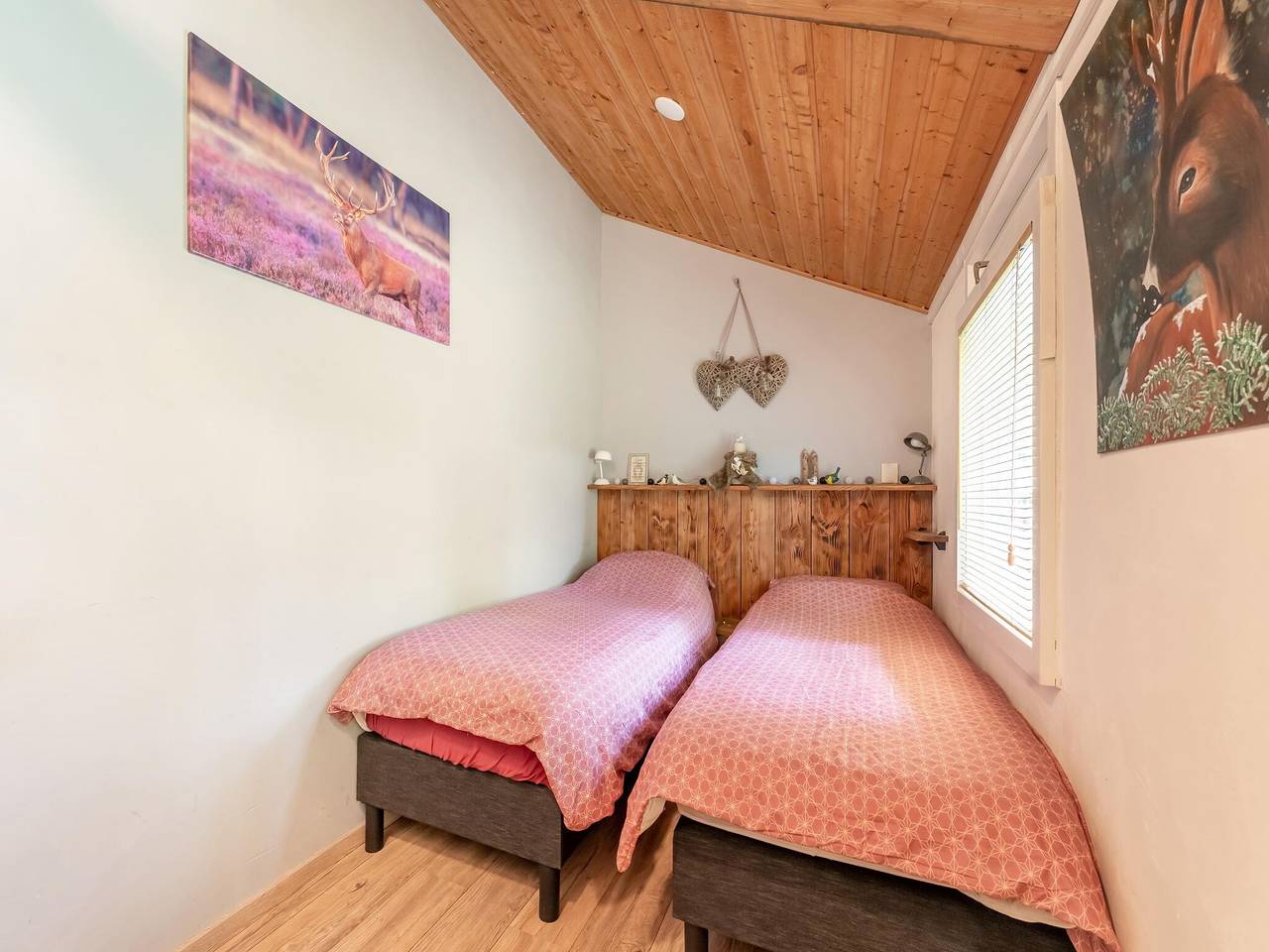 Haus in Hunzebergen am Waldrand in Drenthe