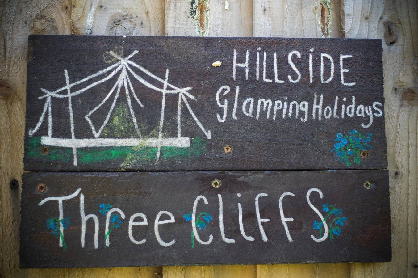 Glamping for 6 People in Swansea region, South-Wales