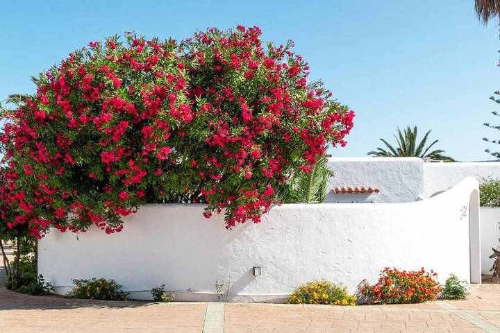 Chalet para 6 personas, con piscina además de jardín y piscina para niños en Ibiza - 2