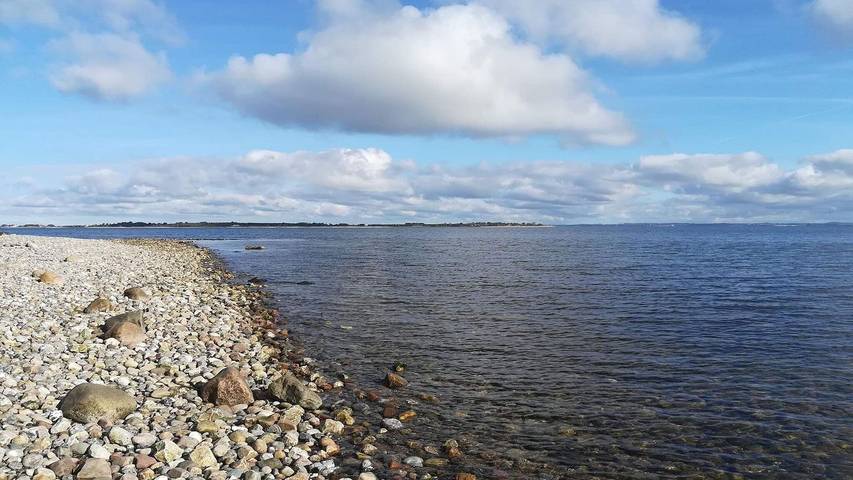 Ferienhaus für 5 Personen, mit Garten, mit Haustier in Flovt Strand - 4