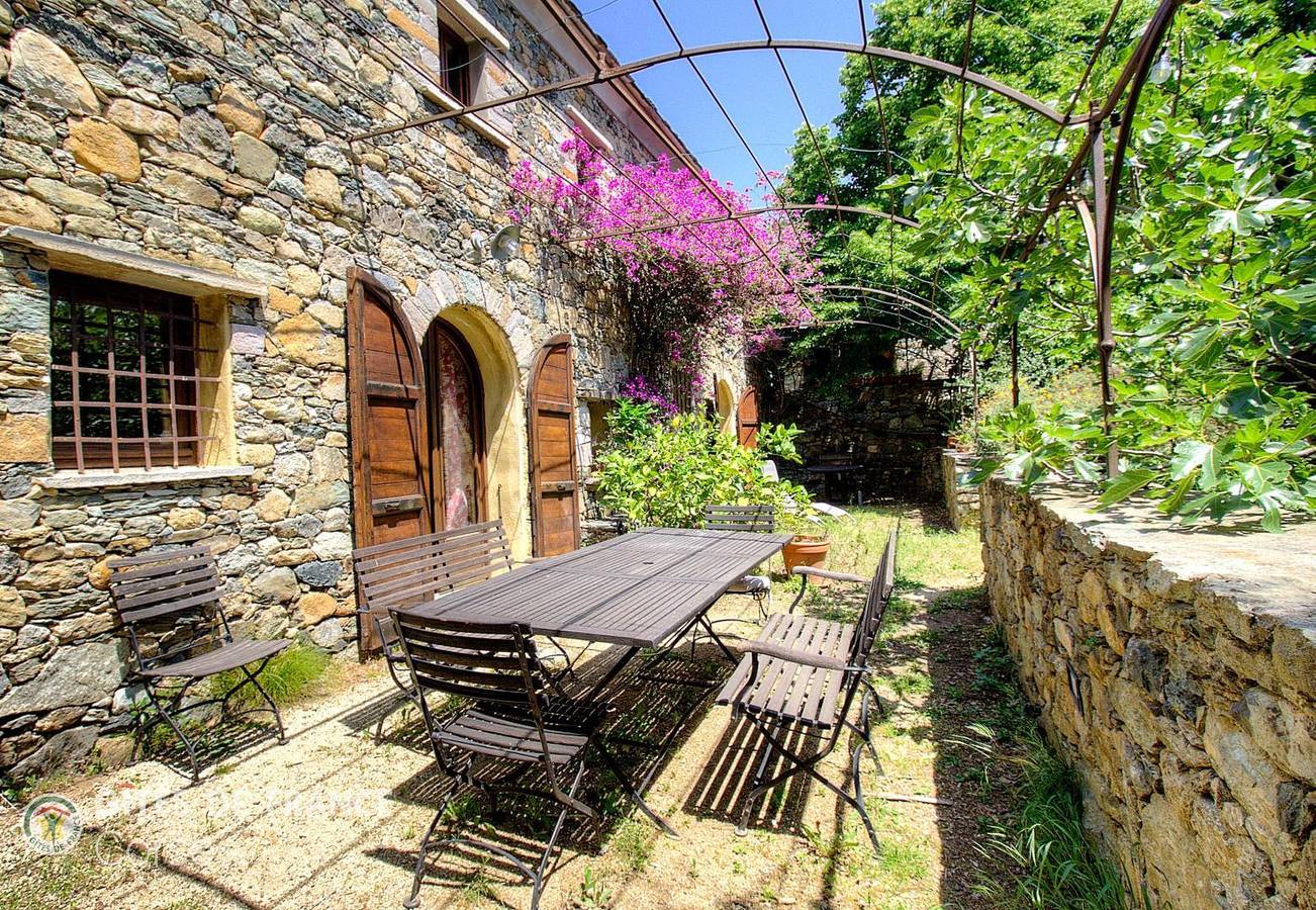 Regina in Patrimonio Francia, Calvi e dintorni