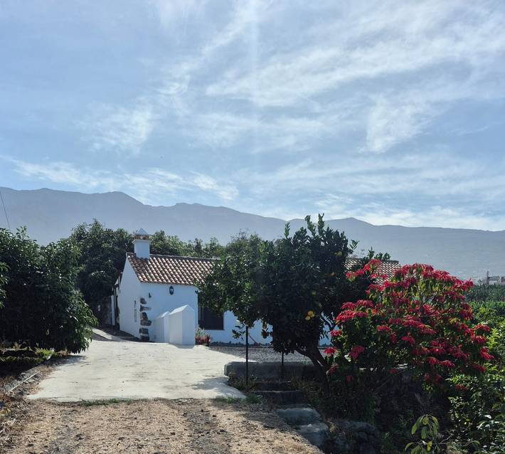 Casa rural para 5 personas, con Terraza en Puerto de la Cruz - 3
