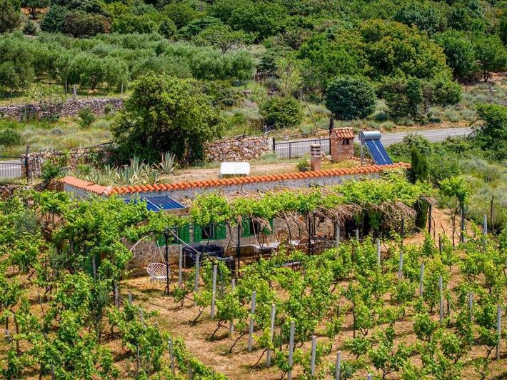 Ferienhaus mit Meerblick für 4 Personen, mit Ausblick und Garten in Barbat na Rabu - 2