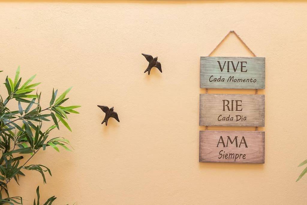 Five-Bedroom House in Ribeira de Pena, Distrito de Vila Real