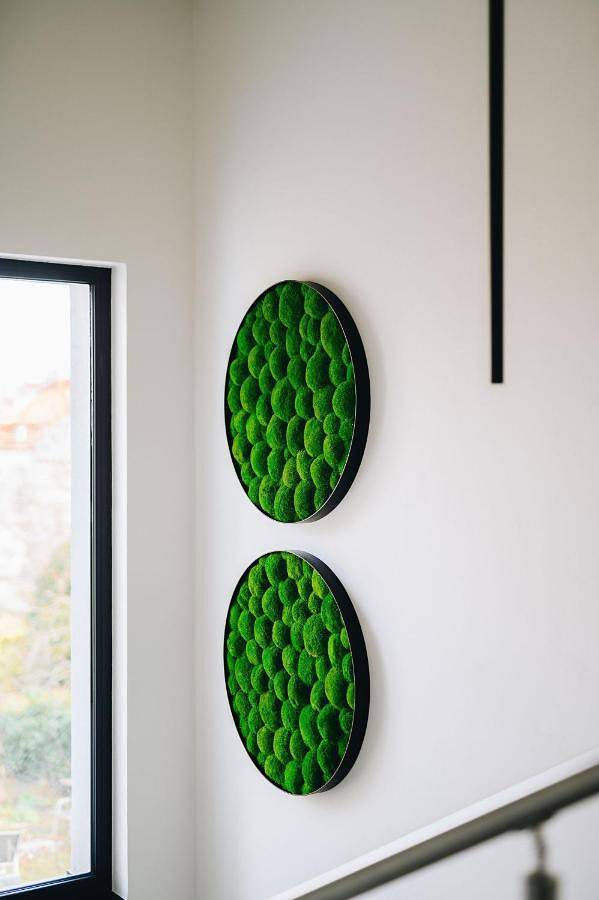 Gîte pour 2 personnes, avec jardin à Mladá Boleslav - 2