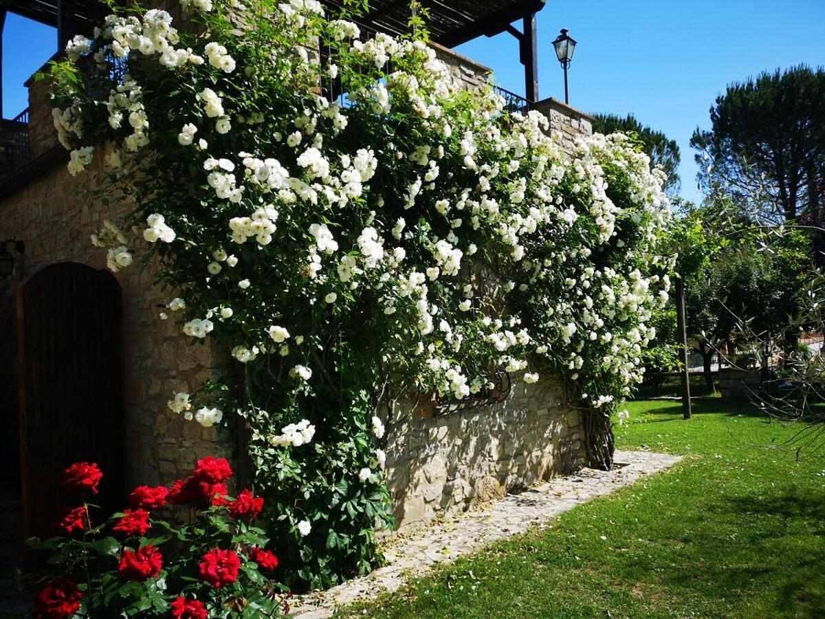 Two-Bedroom House in San Venanzo, Perugia e dintorni