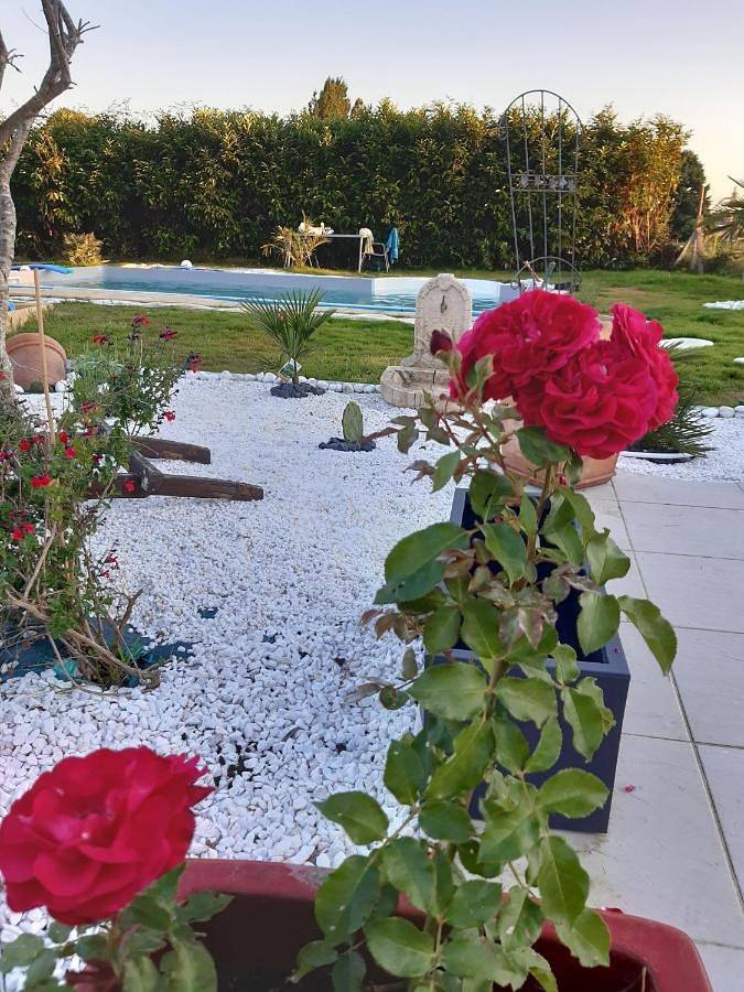 Gîte pour 4 personnes, avec piscine ainsi que jardin et vue à Seyresse - 4