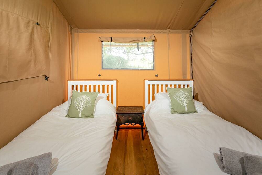 Oak Safari Tent, the perfect family and dog friendly glamping site, Devon in Tiverton, Devon