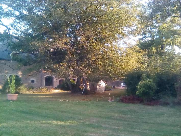 Chambre d’hôte pour 4 personnes, avec terrasse, adapté aux familles dans le Parc naturel régional du Morvan - 3