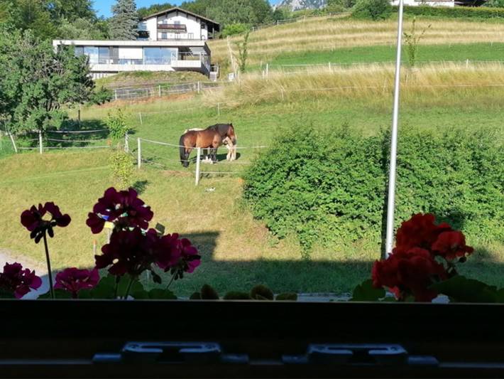 Ferienwohnung für 3 Personen, mit Balkon und Garten am Attersee - 4