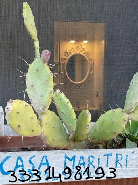 Casa Maritrì Locazione Turistica in Marzamemi, Siracusa e dintorni