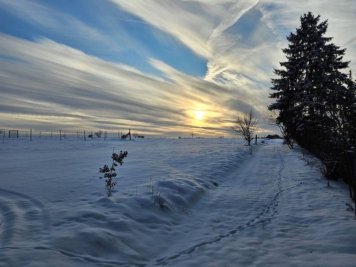 Ferienhaus für 4 Personen, mit Sauna und Terrasse sowie Garten und Ausblick in Harzgerode
