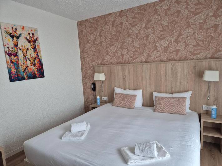 Hôtel pour 2 personnes, avec balcon dans Gare De Challans - 4