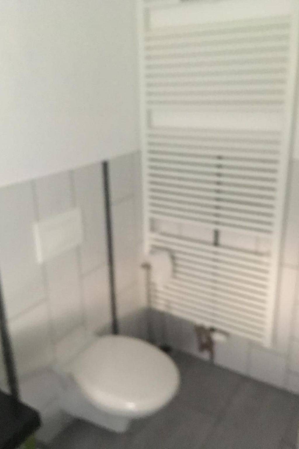 Ganze Wohnung, Charmantes Appartement mit Grill und Garten in Frankenroda, Werratal