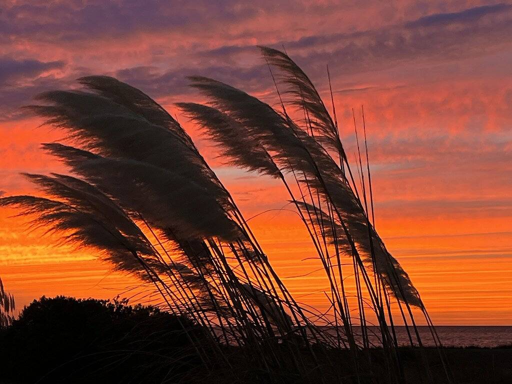 Ocean & Sound Views, 4Br house, Private Pool & Hot Tub, Wifi, Ac, Dog Friendly in South Rodanthe, Rodanthe