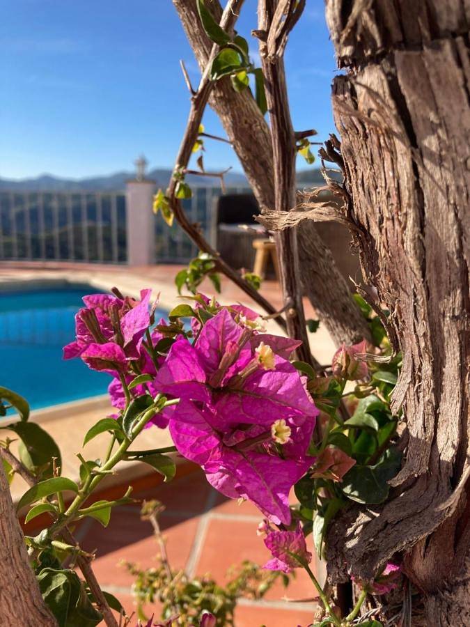 Alojamiento y desayuno para 2 personas, con vistas además de jardín y piscina en Provincia de Málaga - 3