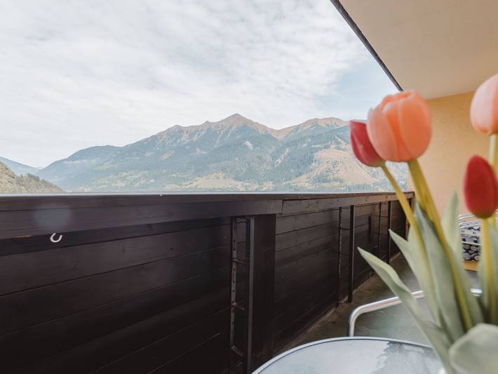 Ferienwohnung für 4 Personen, mit Garten in Bad Gastein - 2