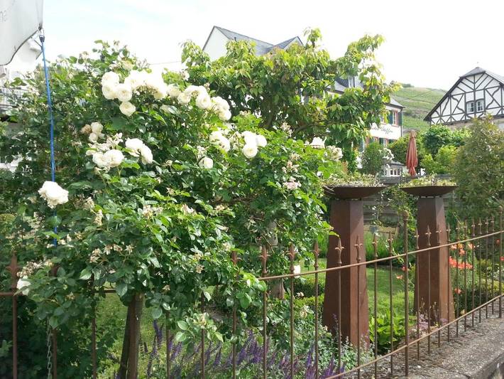 Ferienwohnung für 2 Personen, mit Terrasse und Garten sowie Ausblick in Lieser - 4