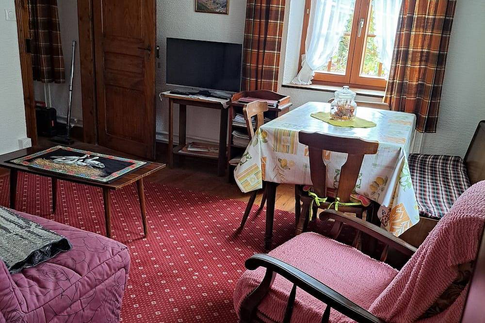 Gîte chez Jean-Pierre \" Les Hirondelles\" F2- 100€ for1 night ( 2nights min) in Sainte-Marie-aux-Mines, Regionaler Naturpark Belchen der Vogesen
