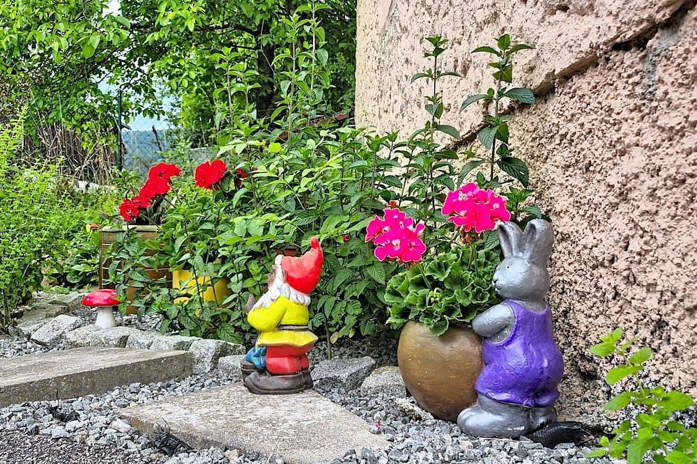 Ganze Wohnung, Schöne Wohnung für 4 Personen mit  W-Lan, Tv, Terrasse und Haustiere erlaubt in Klaffer am Hochficht, Bezirk Rohrbach