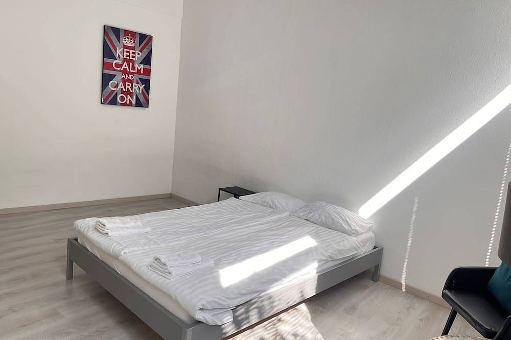 Appartamento intero, Bright, comfy, industrial looking in Canton Zurigo