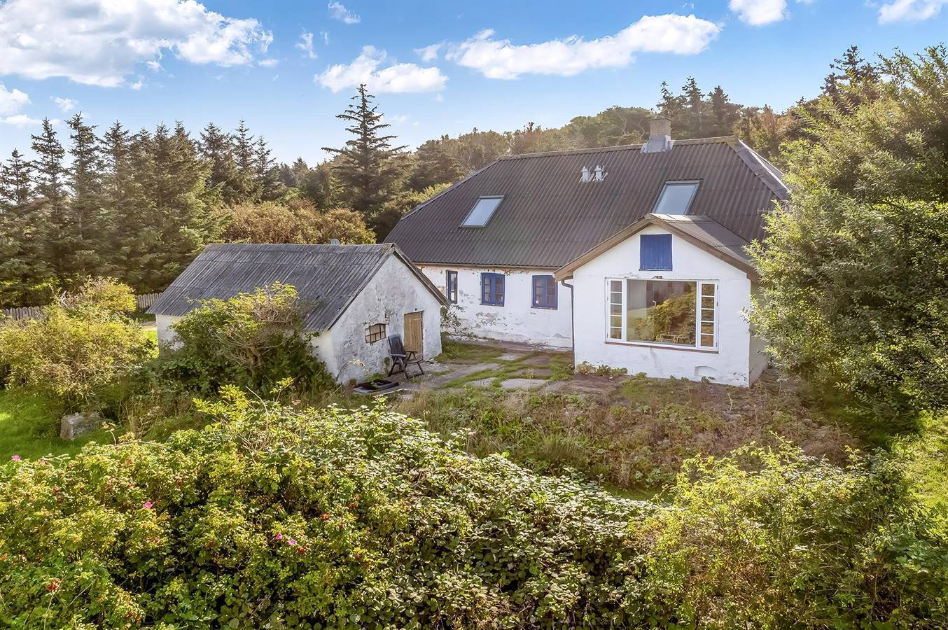 Pet friendly home in Løgstør with Wifi in Løgstør, Limfjord in Nordjütland