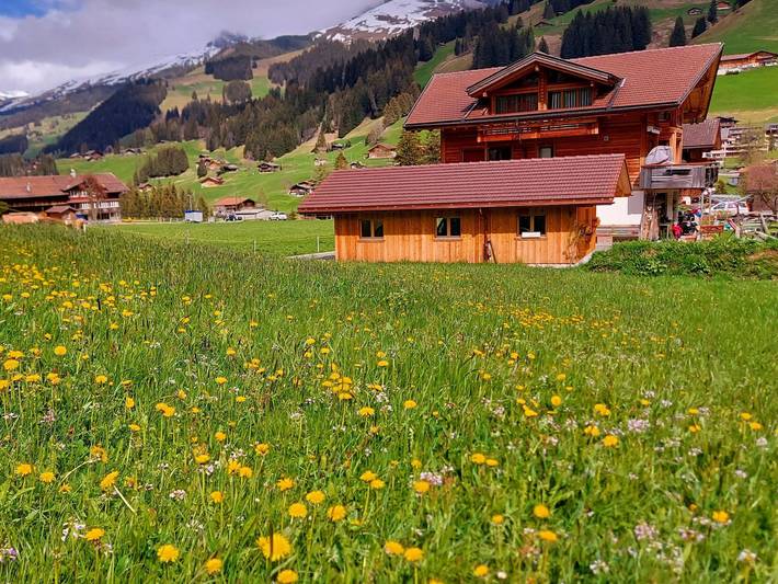 Ganze Wohnung, Lärchehuus in Adelboden, Frutigen - Lenk - Adelboden