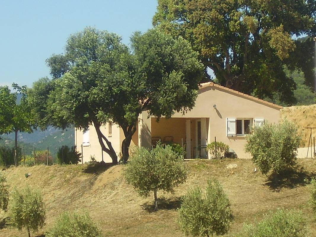L'oliveraie 1 in Sollacaro, Sartène und Umgebung