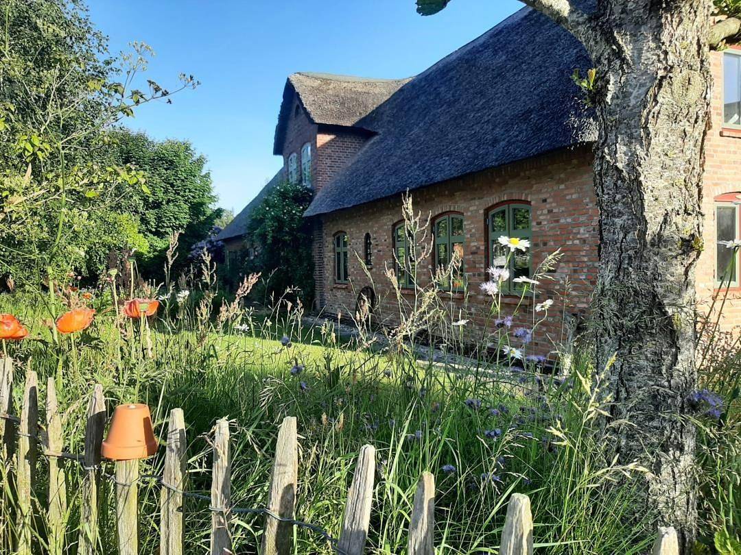 Ferienwohnung für 5 Personen in Braderup, Grünes Binnenland