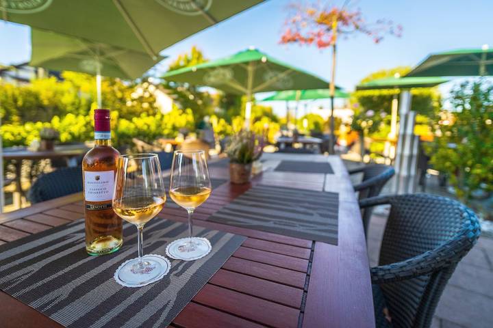 Ferienhaus für 2 Personen, mit Terrasse, mit Haustier in Gaienhofen - 4