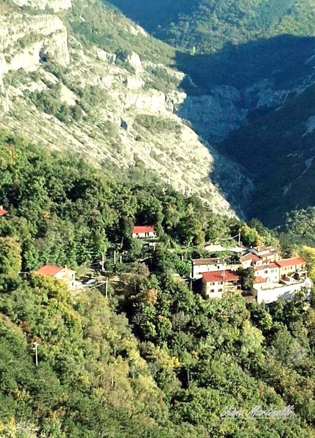 Bed & breakfast dla 4 osób, z Taras i Ogród oraz Basen dla dzieci i Widok w Prowincja Trieste
