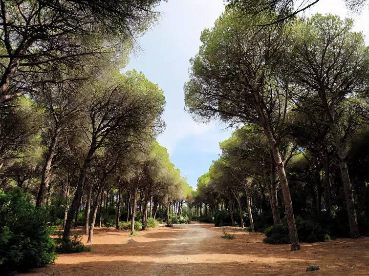 6 personas in Monte Argentario, Provincia de Grosseto