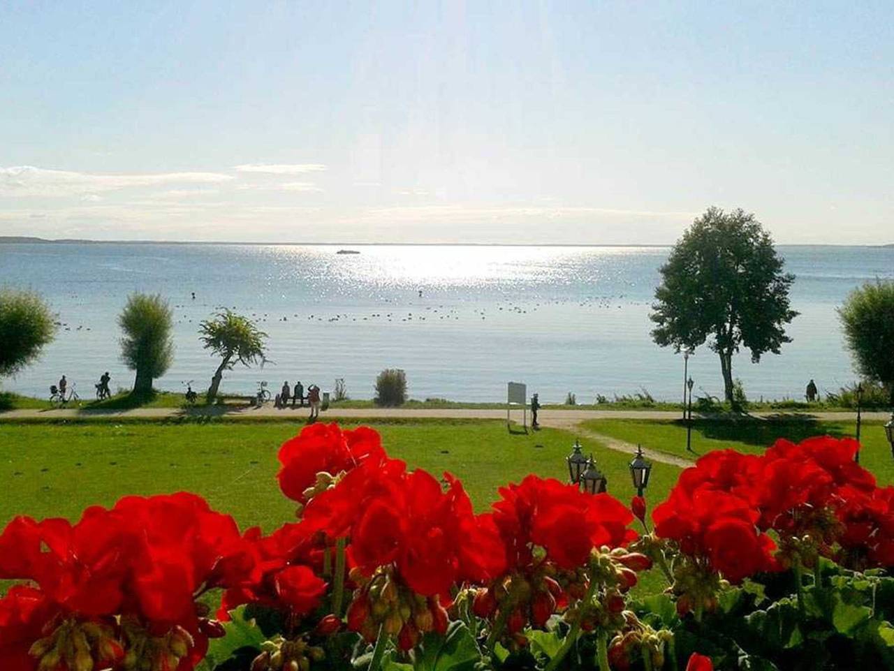 Seehotel Schloss Klink in Klink, Müritz