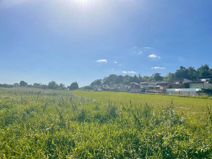 Ferienhaus für 4 Personen, mit Terrasse und Seeblick sowie Garten in Malchin - 4