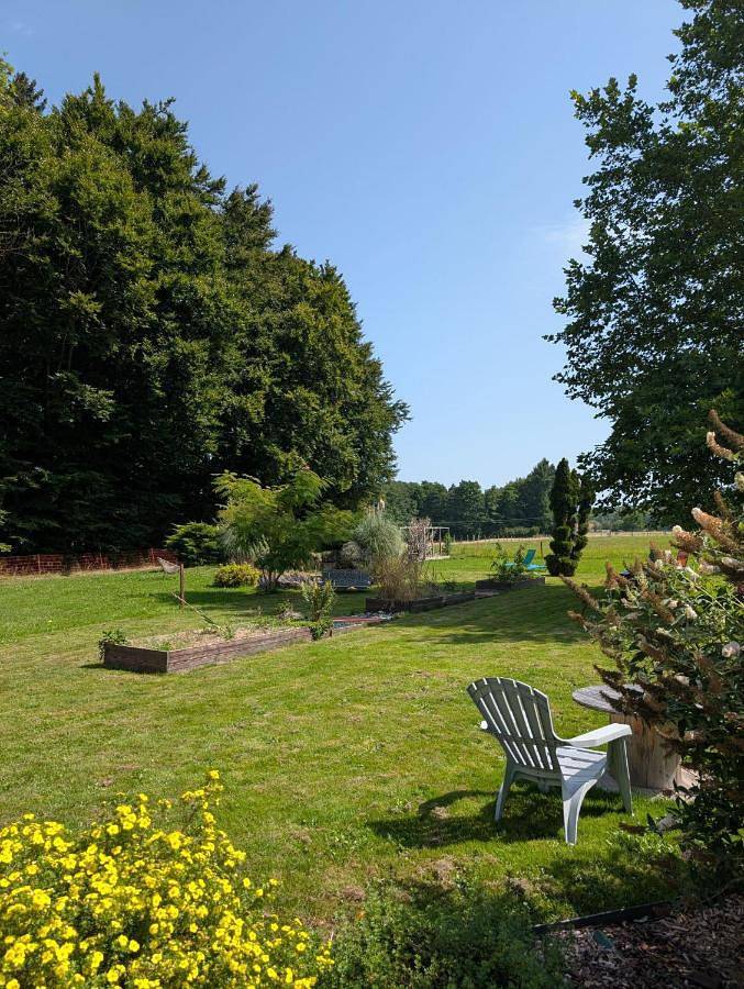 Chambre d’hôte pour 4 personnes, avec jacuzzi ainsi que balcon et jardin dans Xertigny - 3
