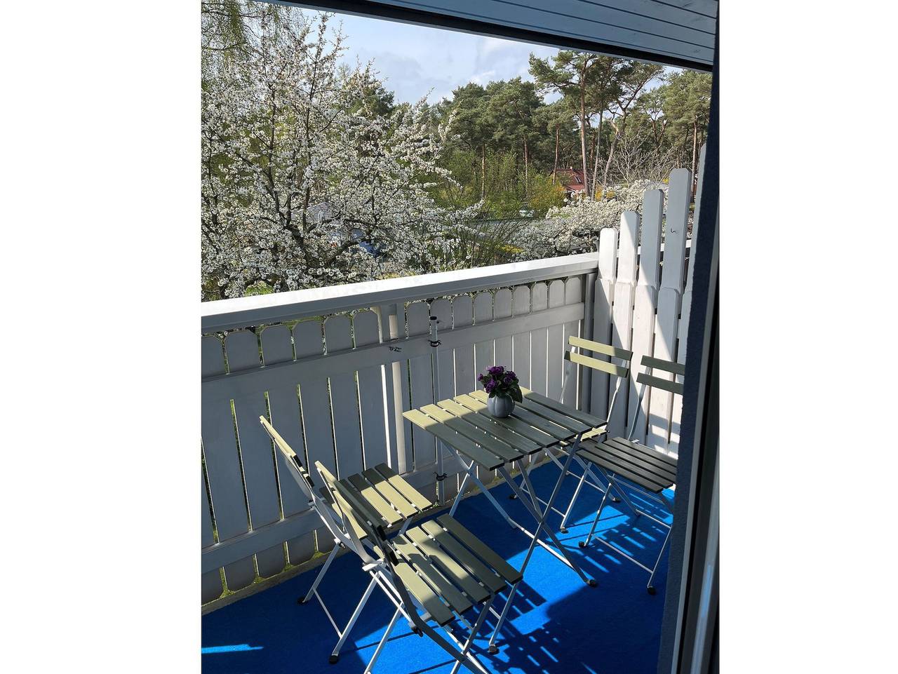 Ferienanlage in Usedom ab 81€ pro Nacht